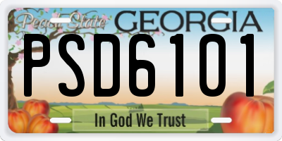 GA license plate PSD6101