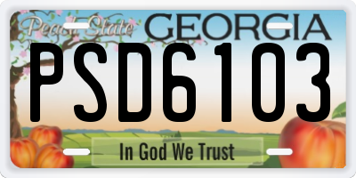 GA license plate PSD6103