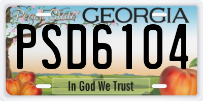 GA license plate PSD6104