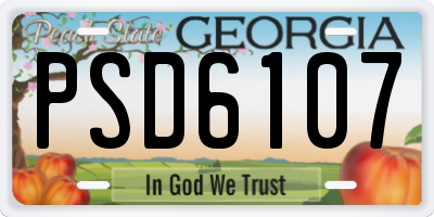 GA license plate PSD6107