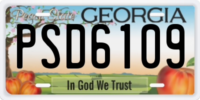 GA license plate PSD6109