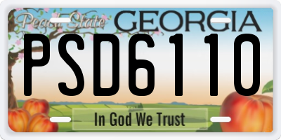 GA license plate PSD6110