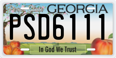 GA license plate PSD6111