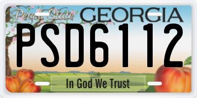 GA license plate PSD6112