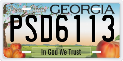 GA license plate PSD6113