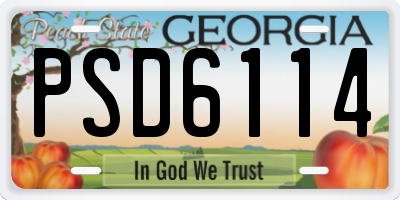 GA license plate PSD6114