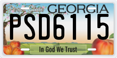GA license plate PSD6115