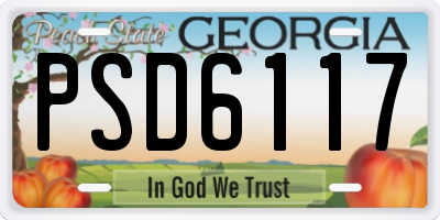 GA license plate PSD6117