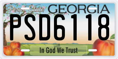 GA license plate PSD6118