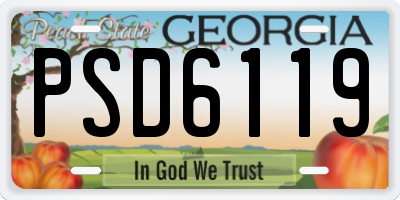 GA license plate PSD6119
