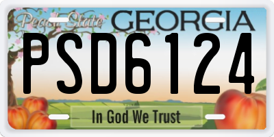 GA license plate PSD6124