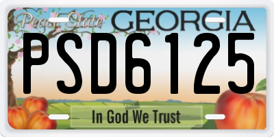GA license plate PSD6125