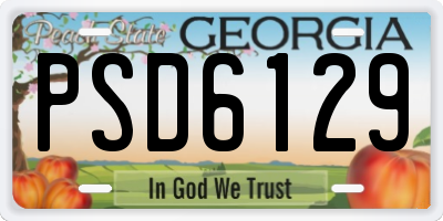GA license plate PSD6129