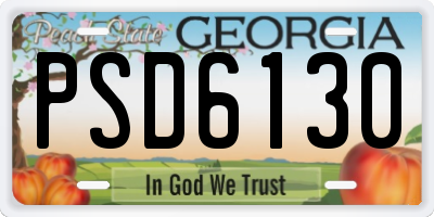 GA license plate PSD6130