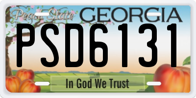 GA license plate PSD6131