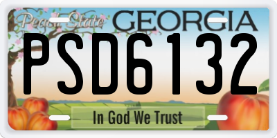 GA license plate PSD6132