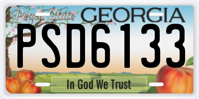GA license plate PSD6133