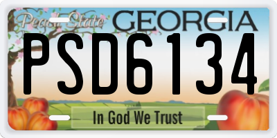 GA license plate PSD6134