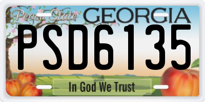 GA license plate PSD6135