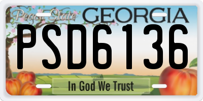 GA license plate PSD6136