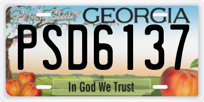GA license plate PSD6137