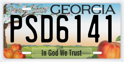GA license plate PSD6141