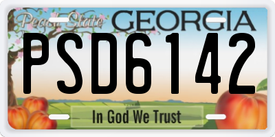 GA license plate PSD6142
