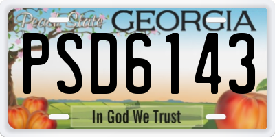 GA license plate PSD6143
