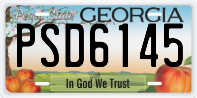 GA license plate PSD6145