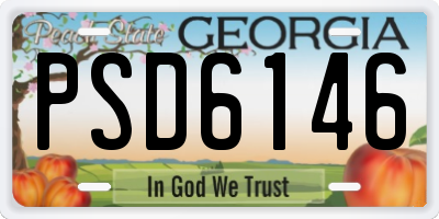 GA license plate PSD6146