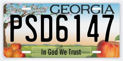 GA license plate PSD6147
