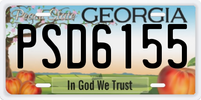 GA license plate PSD6155