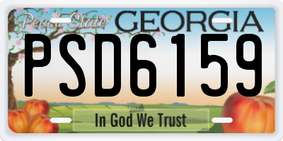 GA license plate PSD6159