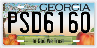 GA license plate PSD6160
