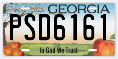 GA license plate PSD6161