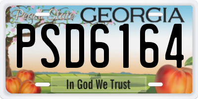 GA license plate PSD6164