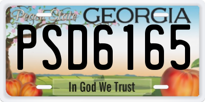 GA license plate PSD6165