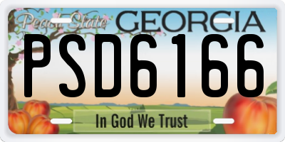GA license plate PSD6166