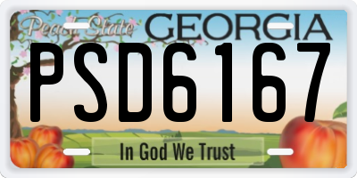 GA license plate PSD6167
