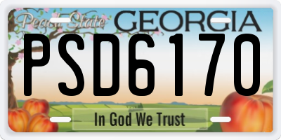 GA license plate PSD6170