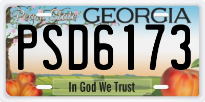GA license plate PSD6173