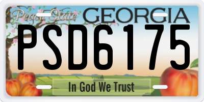 GA license plate PSD6175