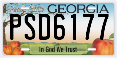 GA license plate PSD6177