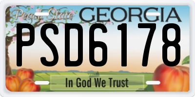 GA license plate PSD6178