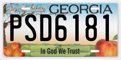 GA license plate PSD6181