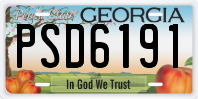 GA license plate PSD6191