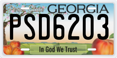 GA license plate PSD6203