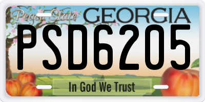 GA license plate PSD6205