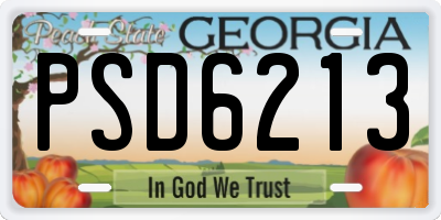 GA license plate PSD6213