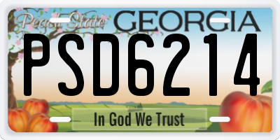 GA license plate PSD6214